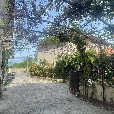 德瓦Luxury House Teodora别墅 外观 照片